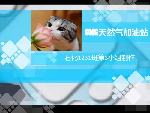 CNG天然气加油站解读