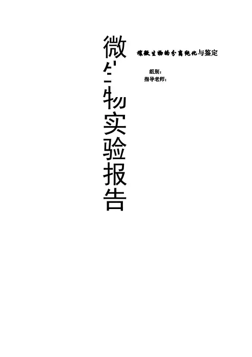 土壤微生物的分离纯化与鉴定