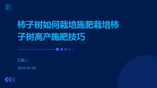 柿子树如何栽培施肥栽培柿子树高产施肥技巧