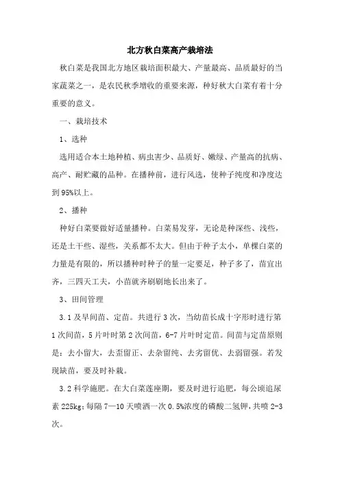 北方秋白菜高产栽培法