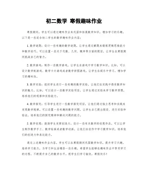 初二数学 寒假趣味作业