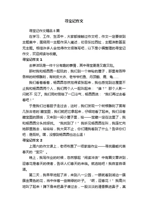 寻宝记作文