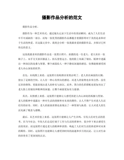 摄影作品分析的范文