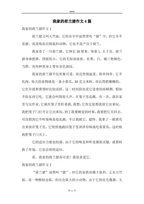 我家的荷兰猪作文4篇