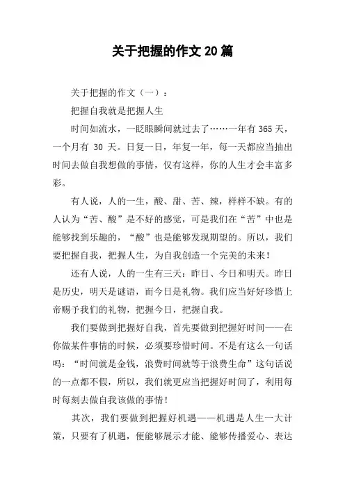 关于把握的作文20篇