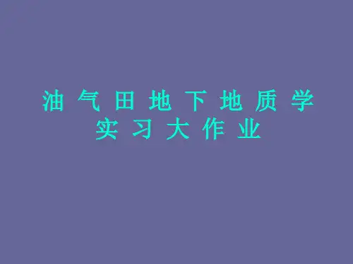 油气田地下地质学实习大作业