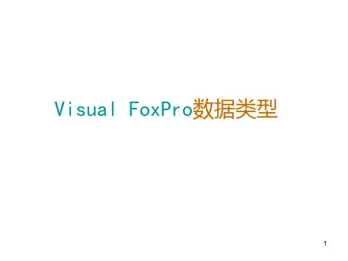 Visual FoxPro数据类型