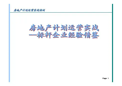 2020年最新标杆房企计划运营实战经验借鉴(147页)