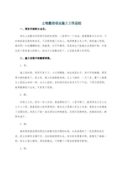 土地整治项目施工工作总结
