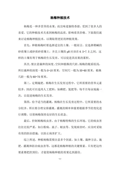 杨梅种植技术