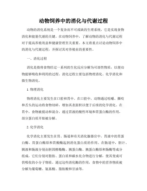 动物饲养中的消化与代谢过程