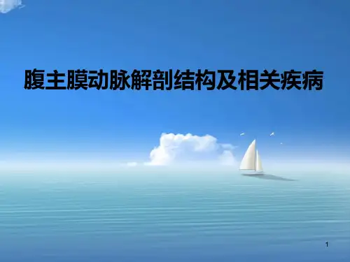 腹腔血管PPT课件