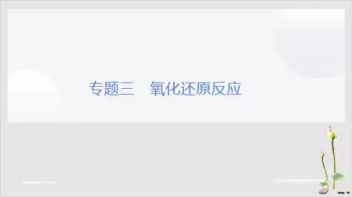 高三化学二轮复习氧化还原反应(张PPT)课件