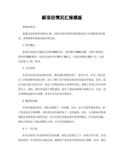 新项目情况汇报模版