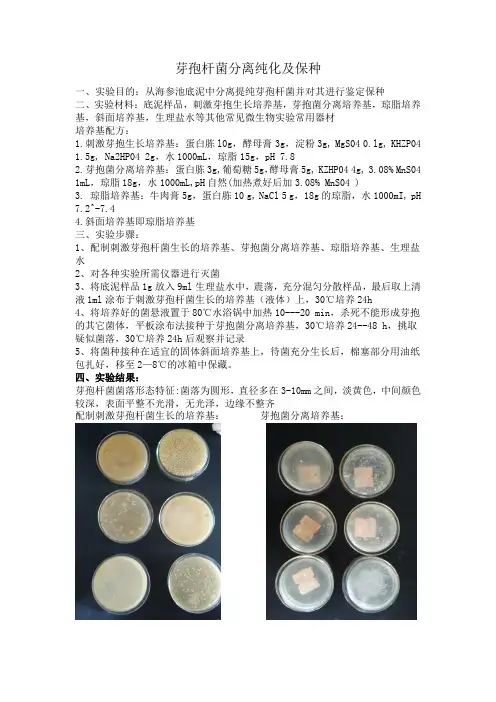 芽孢杆菌分离纯化及保种