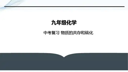 中考复习物质的共存与转化