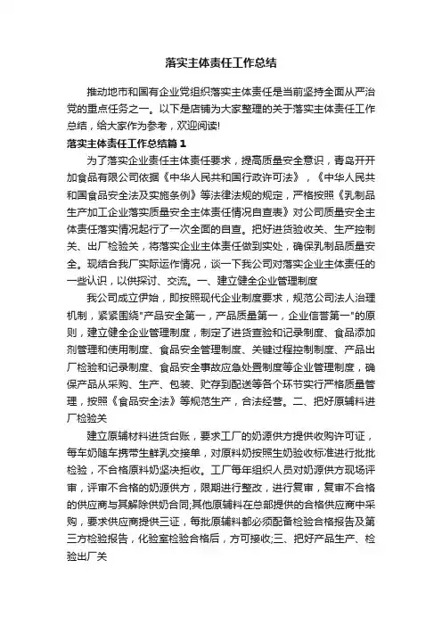 落实主体责任工作总结