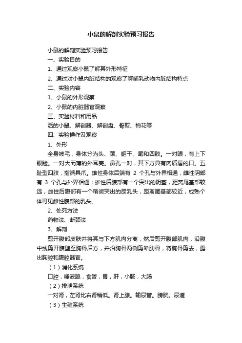 小鼠的解剖实验预习报告