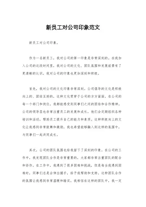 新员工对公司印象范文