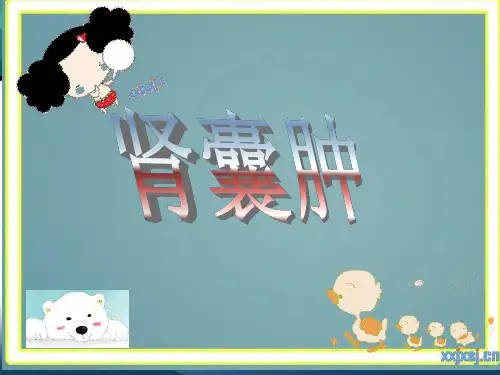 肾囊肿幻灯片ppt课件