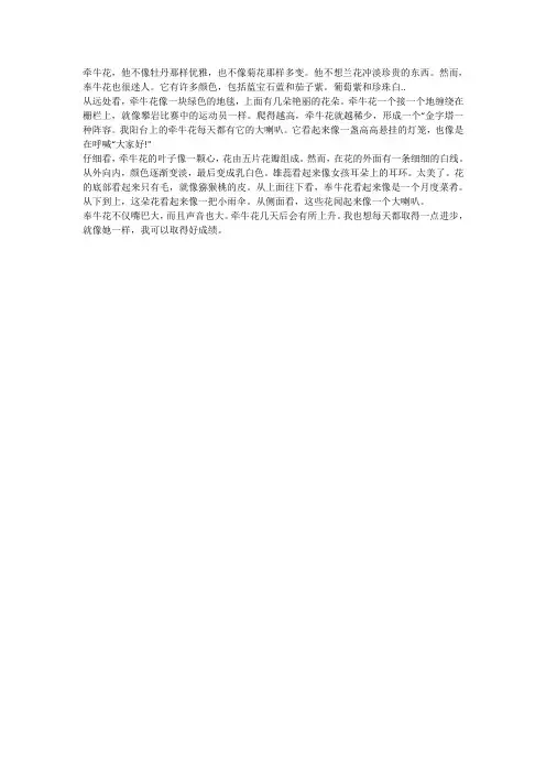 赞扬牵牛花的作文