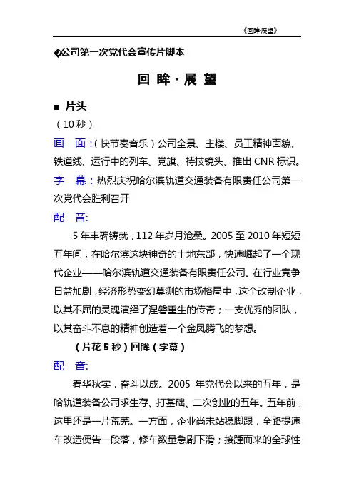 党代会宣传片脚本
