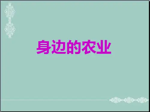 五年级上册品德课件-1.1《粒粒皆辛苦 身边的农业》 ｜鲁人版 8 (共26张PPT) PPT