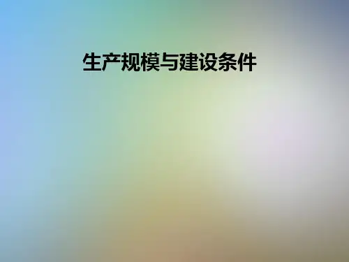 生产规模与建设条件