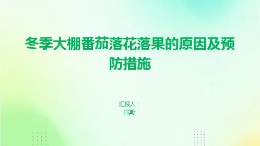 冬季大棚番茄落花落果的原因及预防措施