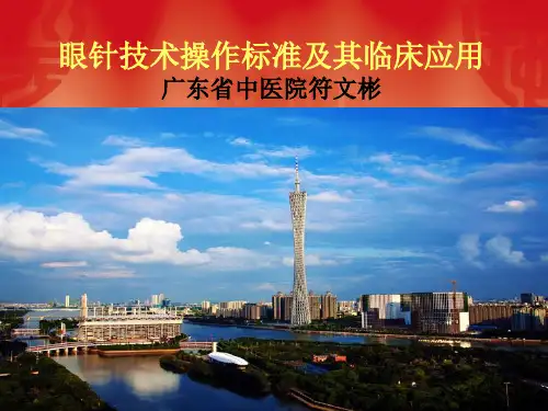 眼针技术操作标准及其临床应用
