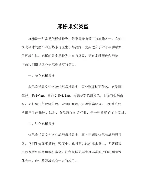 麻栎果实类型