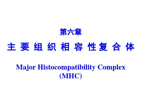 免疫学第6章主要组织相容性复合体精品PPT课件