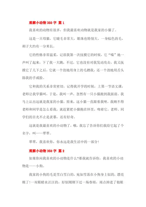 观察小动物的作文三年级350字