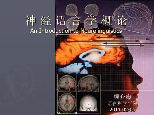 神经语言学的方法