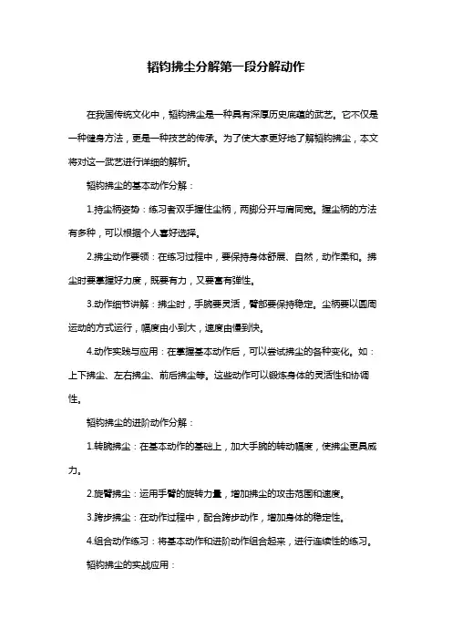 韬钧拂尘分解第一段分解动作