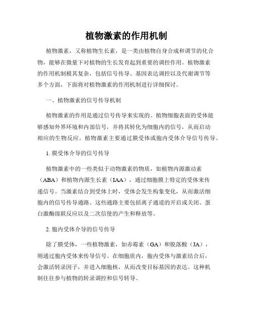 植物激素的作用机制