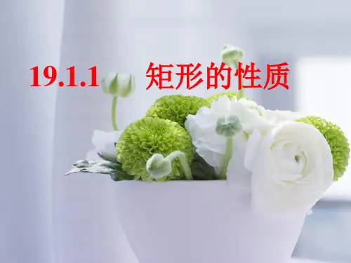 19.1.1-矩形的性质(共21张PPT)