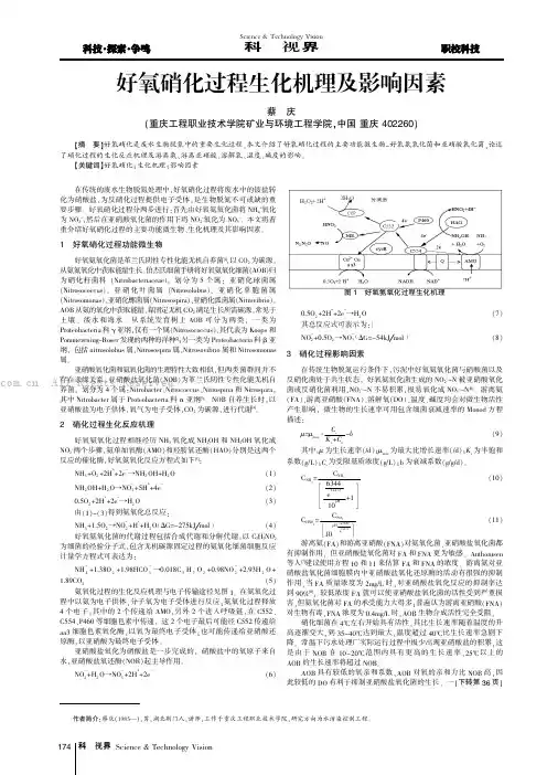 好氧硝化过程生化机理及影响因素