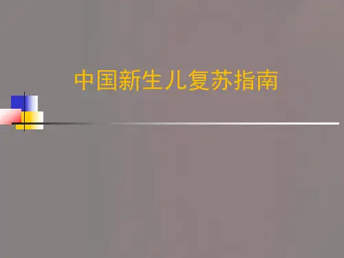 中国新生儿复苏指南