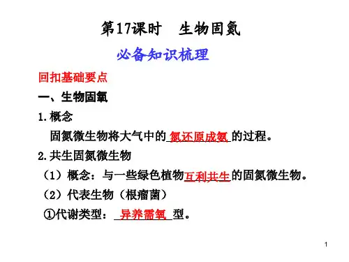 生物固氮ppt课件