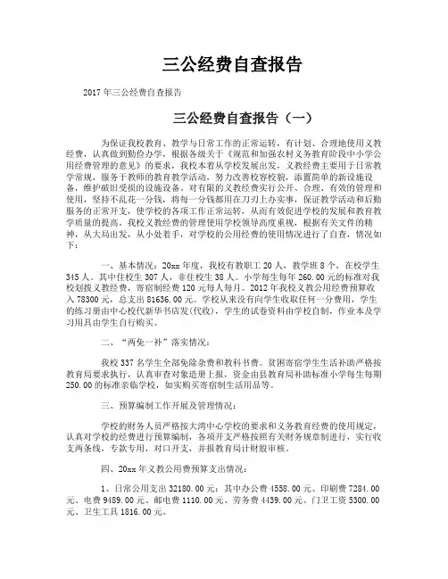 三公经费自查报告