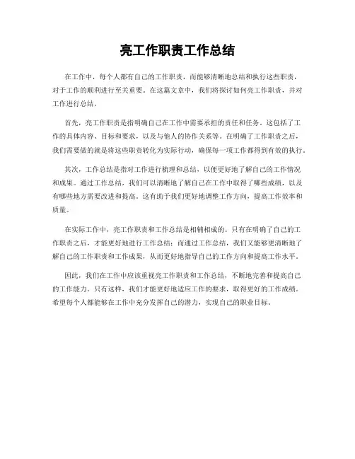 亮工作职责工作总结