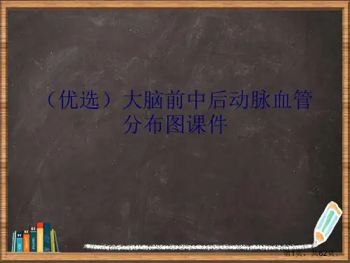 优选大脑前中后动脉血管分布图演示ppt