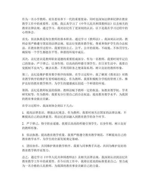 小学教师法纪心得体会