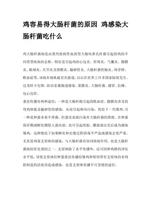 鸡容易得大肠杆菌的原因 鸡感染大肠杆菌吃什么