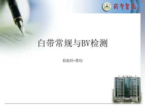 白带常规与BV检测精品文档