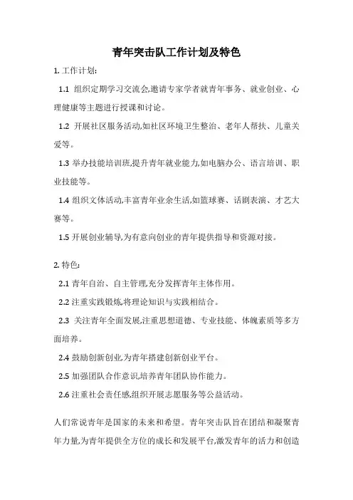 青年突击队工作计划及特色
