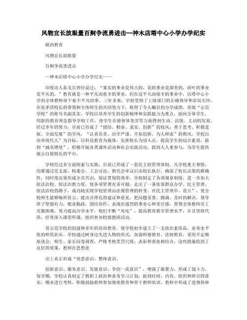 风物宜长放眼量百舸争流勇进击--神木店塔中心小学办学纪实