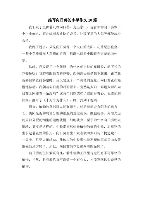 描写向日葵的小学作文10篇