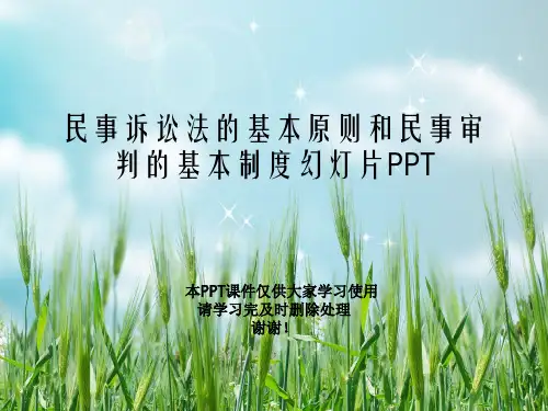 民事诉讼法的基本原则和民事审判的基本制度幻灯片PPT